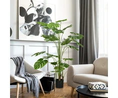 Koduva 180 cm dirbtinis augalas su vazonu, monstera deliciosa, žalias