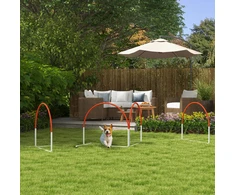 Koduva 4 dalių šunų agility rinkinys su krepšiu, plastikas, baltas ir oranžinis, 89 x 69 x 99 cm
