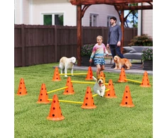 Koduva 6 dalių šunų agility kliūčių rinkinys, oranžinė / geltona, ABS, PE