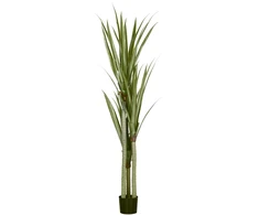 Koduva Dirbtinė jukos augalas, 190 cm, smaragdo žalia