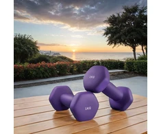 Koduva Hanteliai, 2 vnt. rinkinys, 2 x 1kg, ketaus su neopreno danga, violetiniai