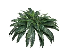 Koduva VEVOR dirbtinis papartis, 1219 mm, 88 lapai, žalios spalvos