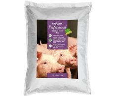 Pašarų priedas kiaulėms BioAktiv 5kg, 20kg, BioAktiv: 20 kg