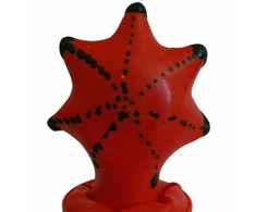 Condomerie Hand-Painted Decorative Condom Starfish Art Edition