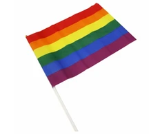 Pride Diablo Picante Medium Pennant Rainbow LGBT Flag 30x19.5 cm