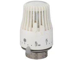 Galva termostatinė 307