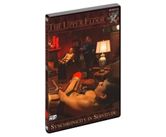 Masterpiece Productions Synchronicity in Servitude HC DVD 62min English Audio