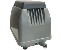 Orapūtė ET30