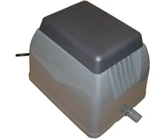 Orapūtė ET80