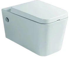Pakabinamas klozetas 869WH