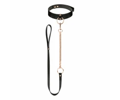 Rosy Gold Adjustable Faux Leather Collar with Detachable Leash Juodas