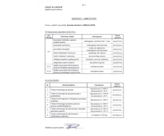 AMBASADORIUS biuro kėdė
