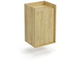 MOBIUS cabinet 1D color: hikora oak