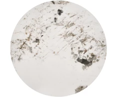 VERDE coffee table, baltas marble / baltas