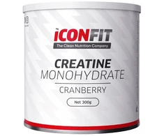 Iconfit kreatino monohidratas 300g
