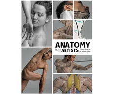 KNYGA 3Dtotal 3Dtotal Publishing Anatomy for Artists