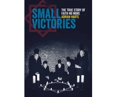 KNYGA Adrian Harte Small Victories