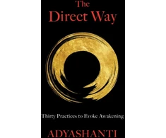 KNYGA Adyashanti Direct Way, Thirty Practices to Evoke Awakening