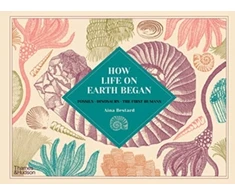 KNYGA Aina Bestard How Life on Earth Began, Fossils · Dinosaurs · The First Humans