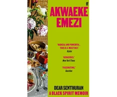 KNYGA Akwaeke Emezi Dear Senthuran