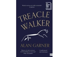 KNYGA Alan Garner Treacle Walker