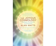 KNYGA Alan Watts Joyous Cosmology