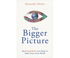 KNYGA Alexander Beiner Bigger Picture