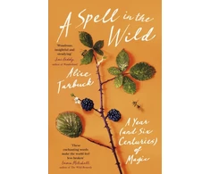 KNYGA Alice Tarbuck Spell in the Wild