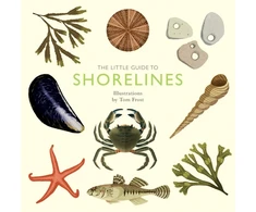 KNYGA Alison Davies Little Guide to Shorelines