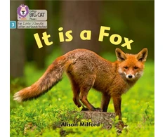 KNYGA Alison Milford It is a Fox