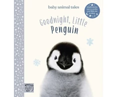 KNYGA Amanda Wood Goodnight, Little Penguin