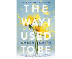 KNYGA Amber Smith Smith Amber Way I Used to Be: The TikTok sensation