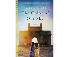 KNYGA Amita Trasi Color of Our Sky