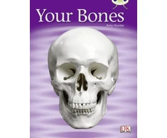 KNYGA Amy Hunter Bug Club Non-fiction Žalias C/1B Your Bones 6-pack