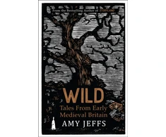 KNYGA Amy Jeffs Jeffs Amy Wild: Tales from Early Medieval Britain from the Bestselling author of Storyland