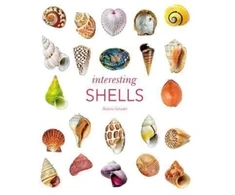 KNYGA Andreia Salvador Interesting Shells