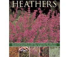 KNYGA Andrew Mikolajski Heathers