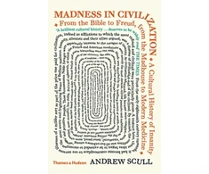 KNYGA Andrew T Scull Madness in Civilization