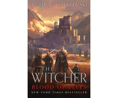 KNYGA Andrzej Sapkowski Blood of Elves