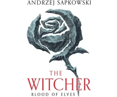 KNYGA Andrzej Sapkowski Sapkowski Andrzej Blood of Elves: The bestselling novel which inspired season 2 of Netflix’s The Witcher