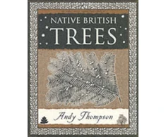 KNYGA Andy Thompson Native British Trees