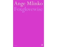 KNYGA Ange Mlinko Foxglovewise