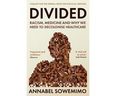 KNYGA Annabel Sowemimo Divided