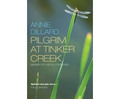 KNYGA Annie Dillard Pilgrim at Tinker Creek