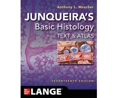 KNYGA Anthony Mescher Junqueira's Basic Histology: Text and Atlas, Seventeenth Edition