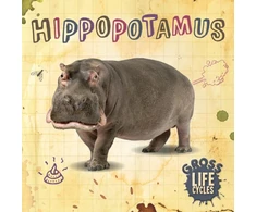 KNYGA Anthony William Hippopotamus