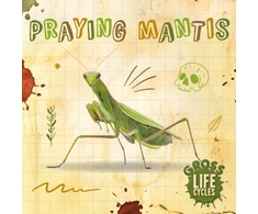 KNYGA Anthony William Praying Mantis