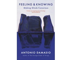 KNYGA Antonio Damasio Feeling and Knowing
