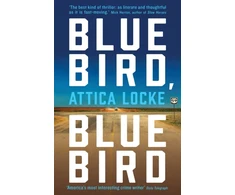 KNYGA Attica Locke Bluebird, Bluebird
