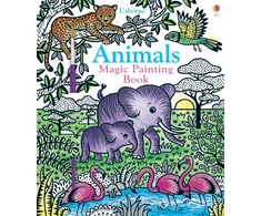 KNYGA Author Tbc Animals Magic Painting Book